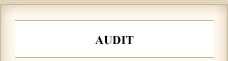 Audit